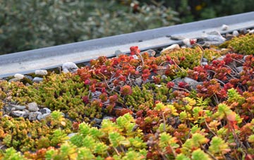the cost of Newhailes green roof installation