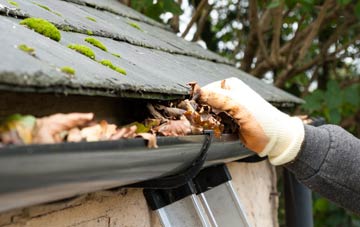 gutter cleaning Newhailes, East Lothian