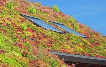 Newhailes living roof systems