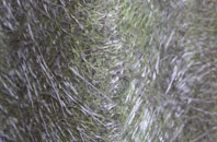 Newhailes fibreglass roof work